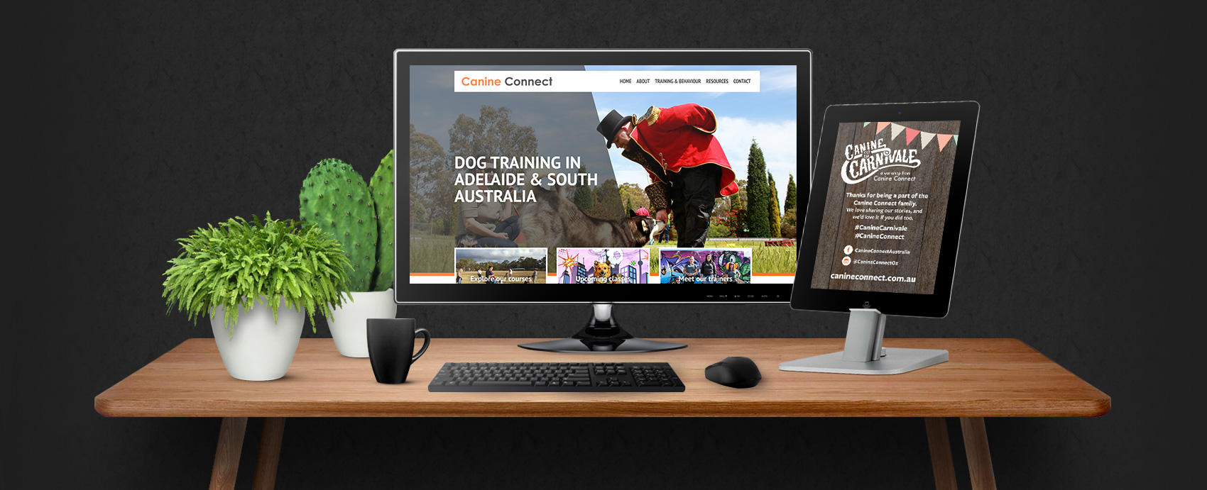 Screenshots of Canine Connect's website, one of the small business websites we've developed