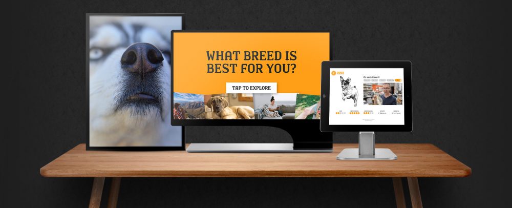 Screenshots of Dogs, a museum touchscreen project for the South Australian Museum